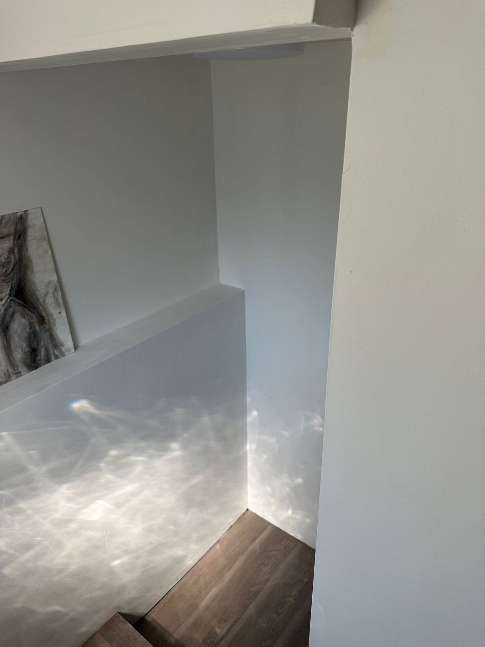 Basement Dev