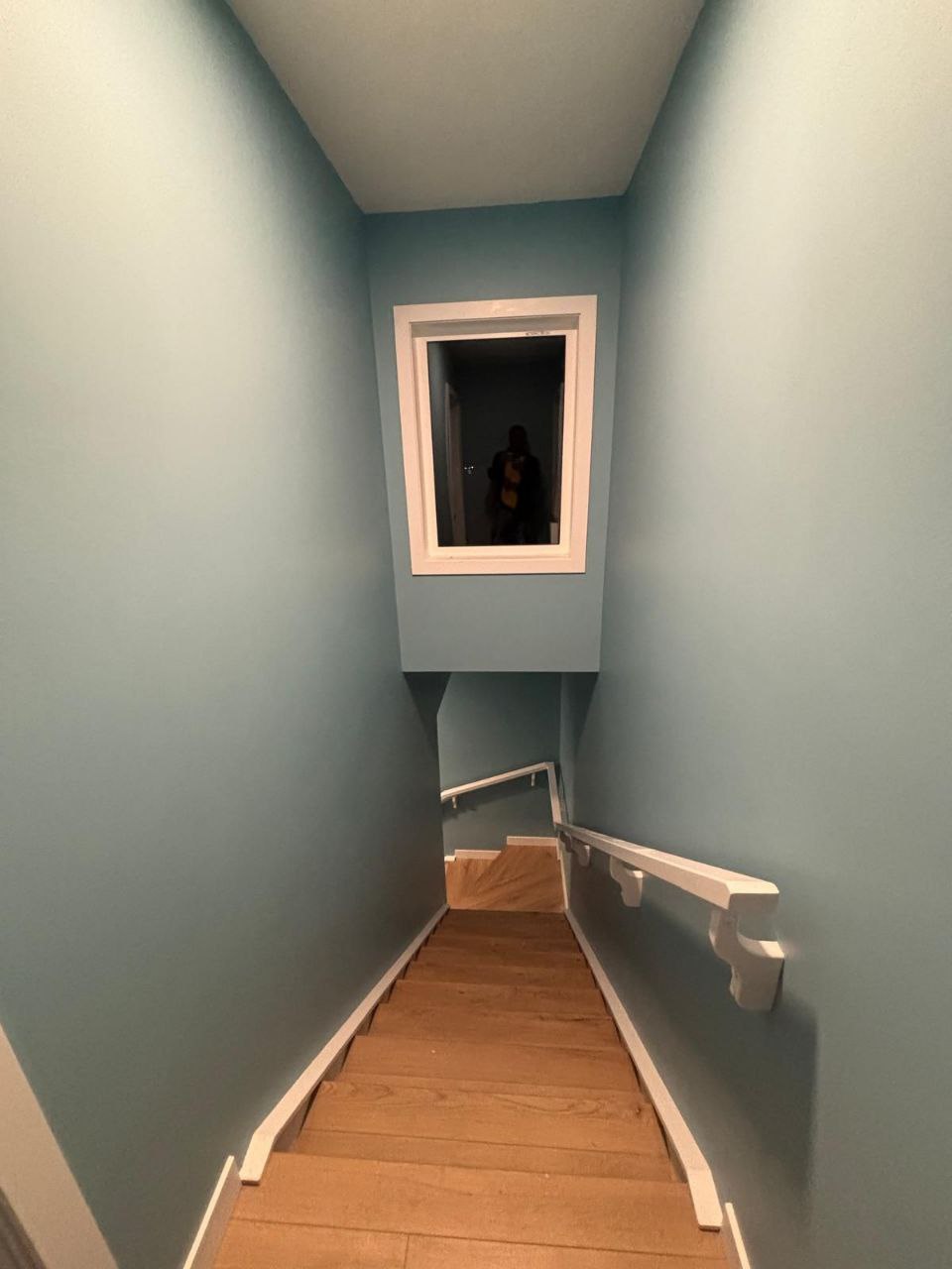 Basement Dev