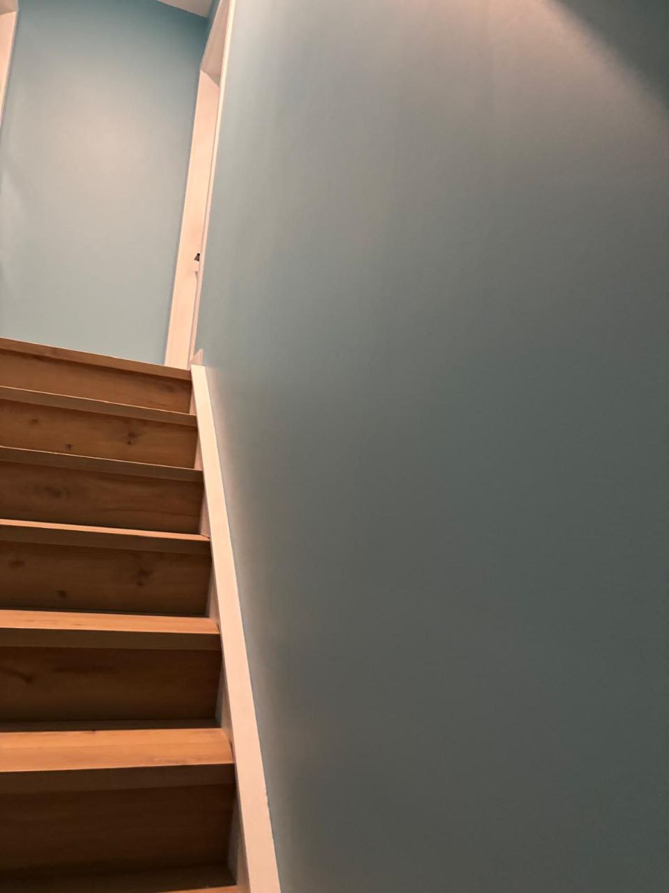 Basement Dev