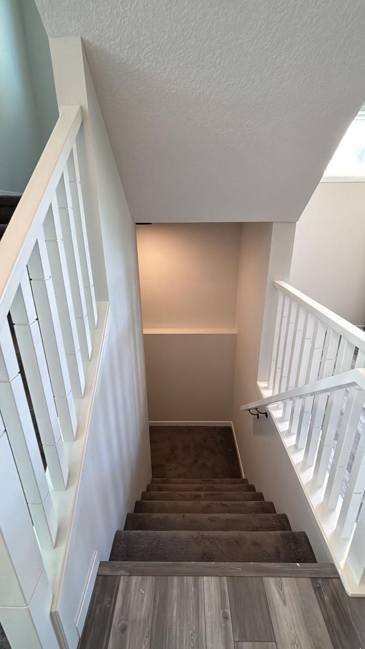 Basement Dev